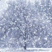 Zezima