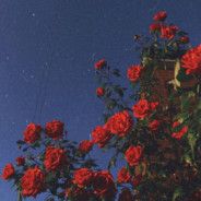 她很爱笑但不对我