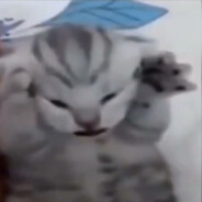 отчимус прайм