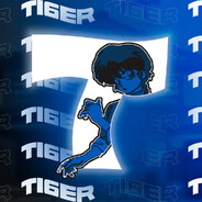 TI6ER