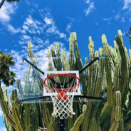 你可以一直喜欢瀚文