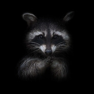 DarkRaccoon