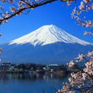 Who's_Your_Boss_Now??