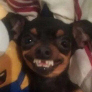 <$CACHORRODONEYMAR$>