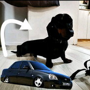 STS.1.RAZVLEKATELNIY