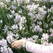 Ccy丶微笑时好美