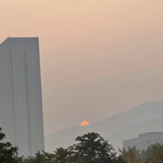 .໊ོﻬ旺旺掀贝