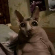 SoyFeed - steam id 76561199130169534