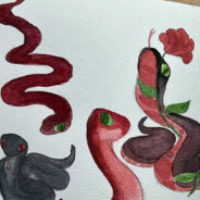 一个萝卜一个坑