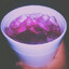 Lean