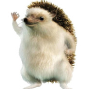 Minister Hedgehog