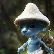 WE LIVE WE LOVE WE LIE