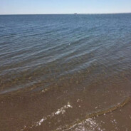 从黑夜宅到白天