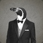 PedroThePinguin