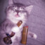 gato fuma porro