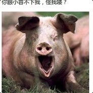 斯哥的大芽儿