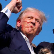 Дональд Трап