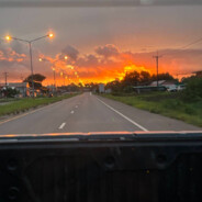 某年的杂花生树