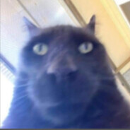 Dmitriy avatar