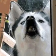 战狼中队:羊癫疯