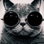 Minou