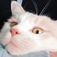 温酒燃执念故人