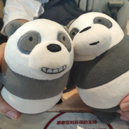 吉大地科金锦花