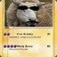 Sheep shady