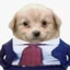 Avatar of Croqueta el abogado