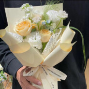 梦里山川状元郎