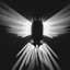 Eagle_Night