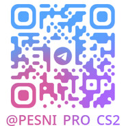 pesni pro CS2 avatar