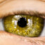 goldeneyes