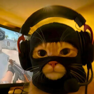 匪桑，故乡的樱花没了