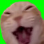 dREczyciel