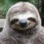 PandaStyle