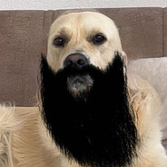 i-d-i-0-t-i - steam id 76561198422499359