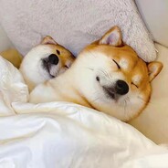 ——下等马分界线——