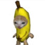 catanana