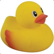 Whimsical Duck