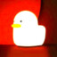 THEHOLYDUCK