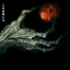 fy