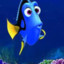 DORI