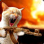 GATUSO
