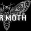 Moth