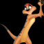 Timon