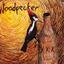 DuBsTeP WoOdPeCkEr