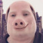 BIaCK_pig