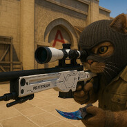 CASE HARDENED CAT
