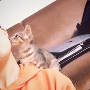 看见我麻烦叫我去学习